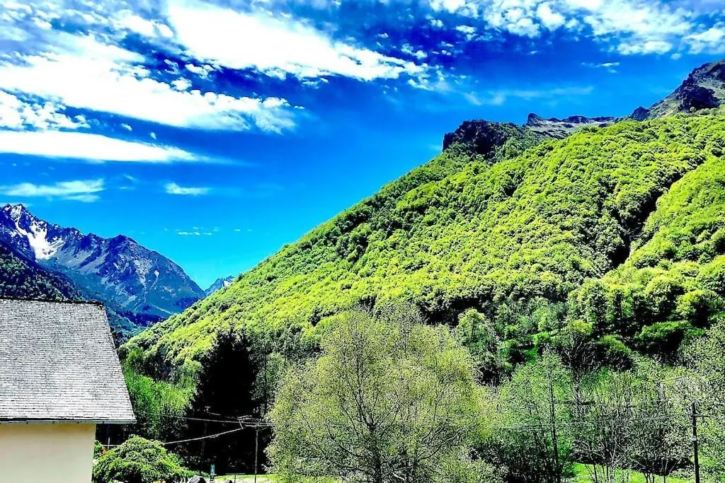 Apartment Appartements 8 Personnes, Estaing Estaing